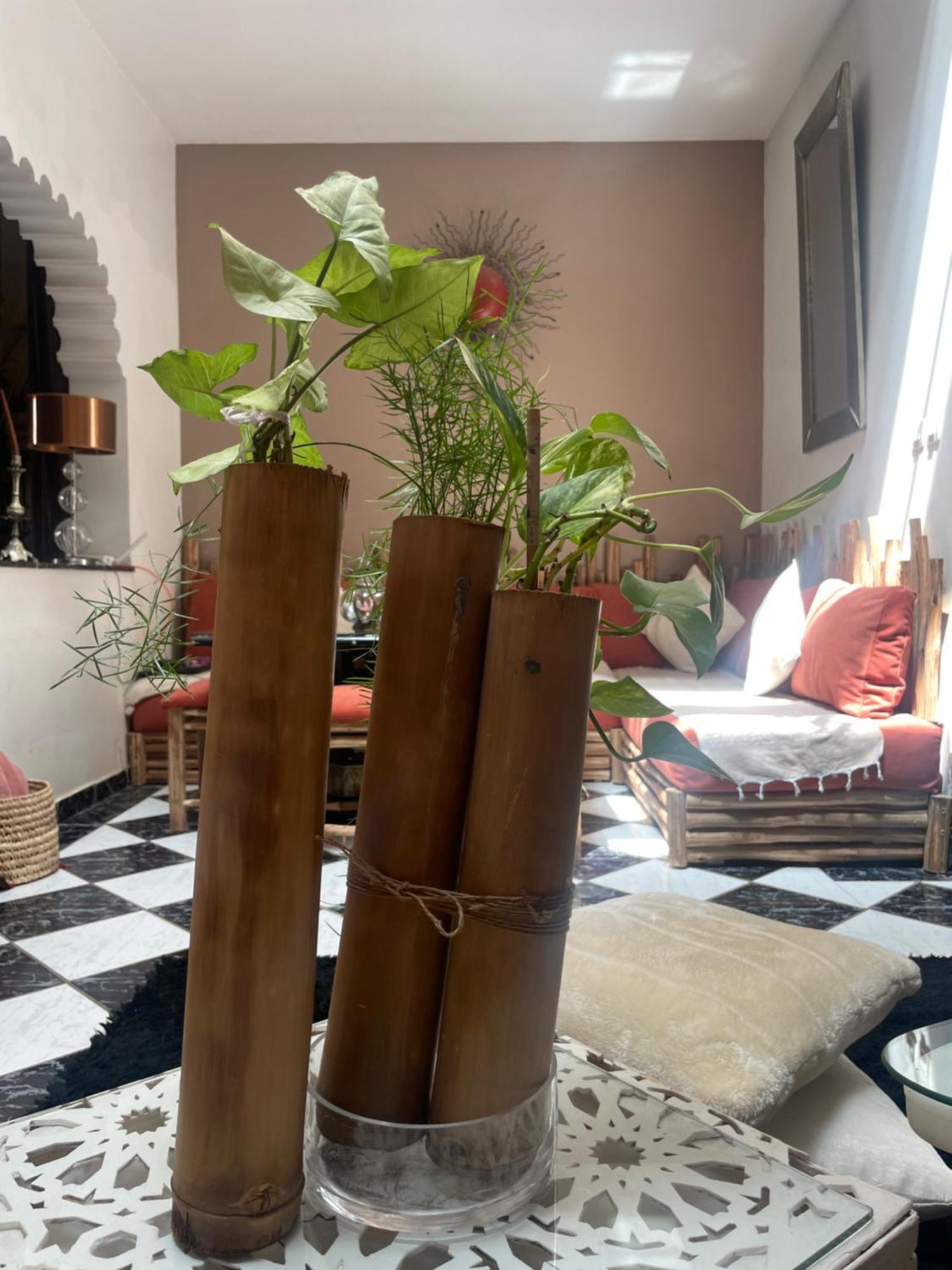 Riad Palmier Fleuri Марракеш Екстер'єр фото